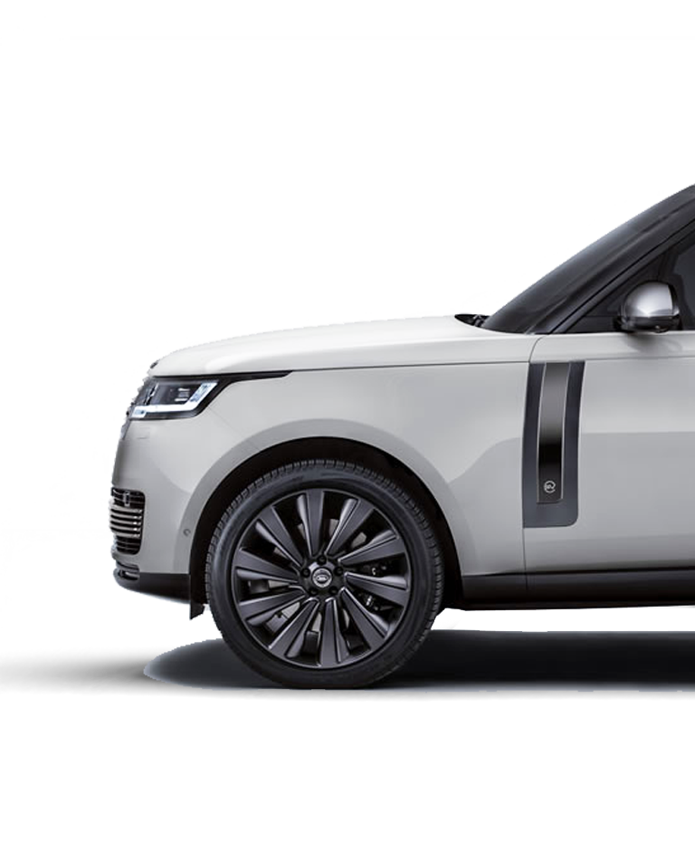 Immobilisation - GPSBob